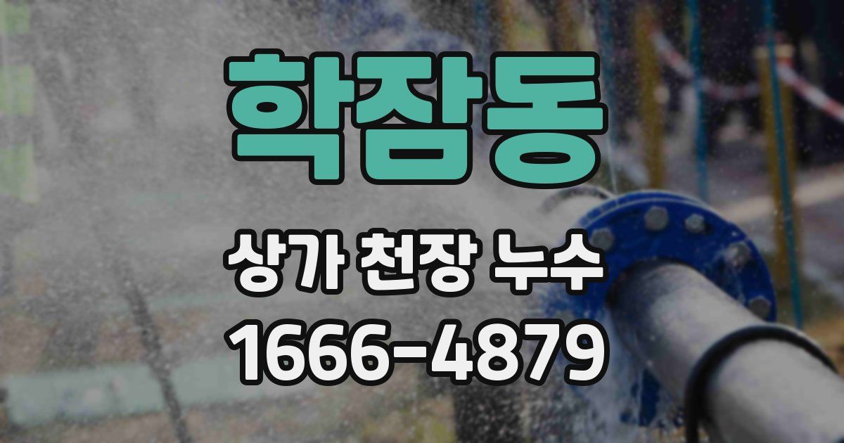 학잠동 상가 천장 누수
