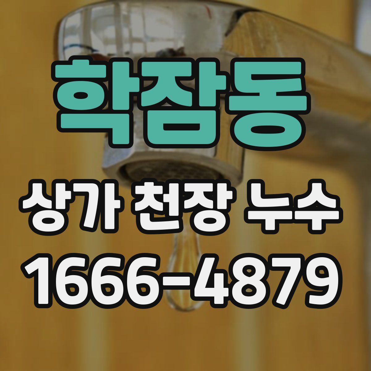 학잠동 상가 천장 누수