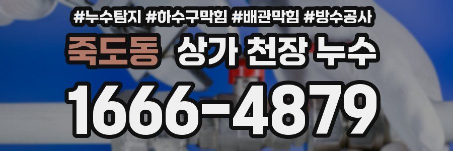 죽도동 상가 천장 누수