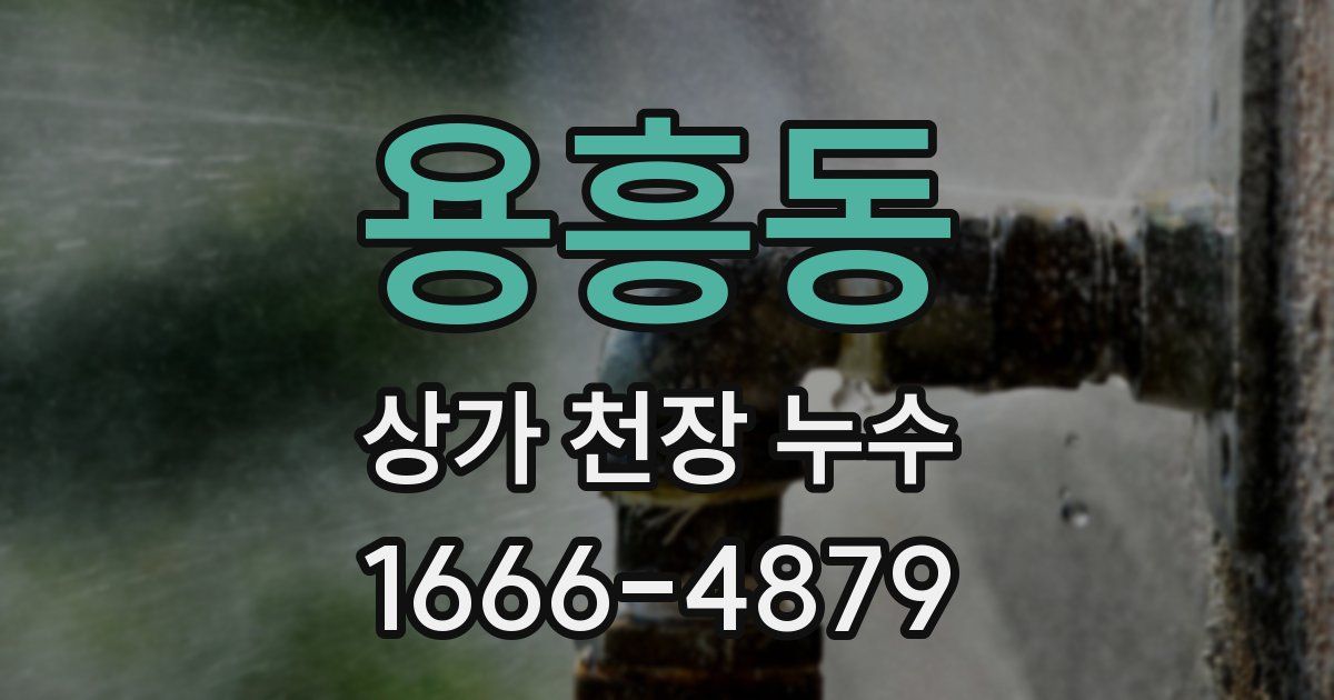용흥동 상가 천장 누수