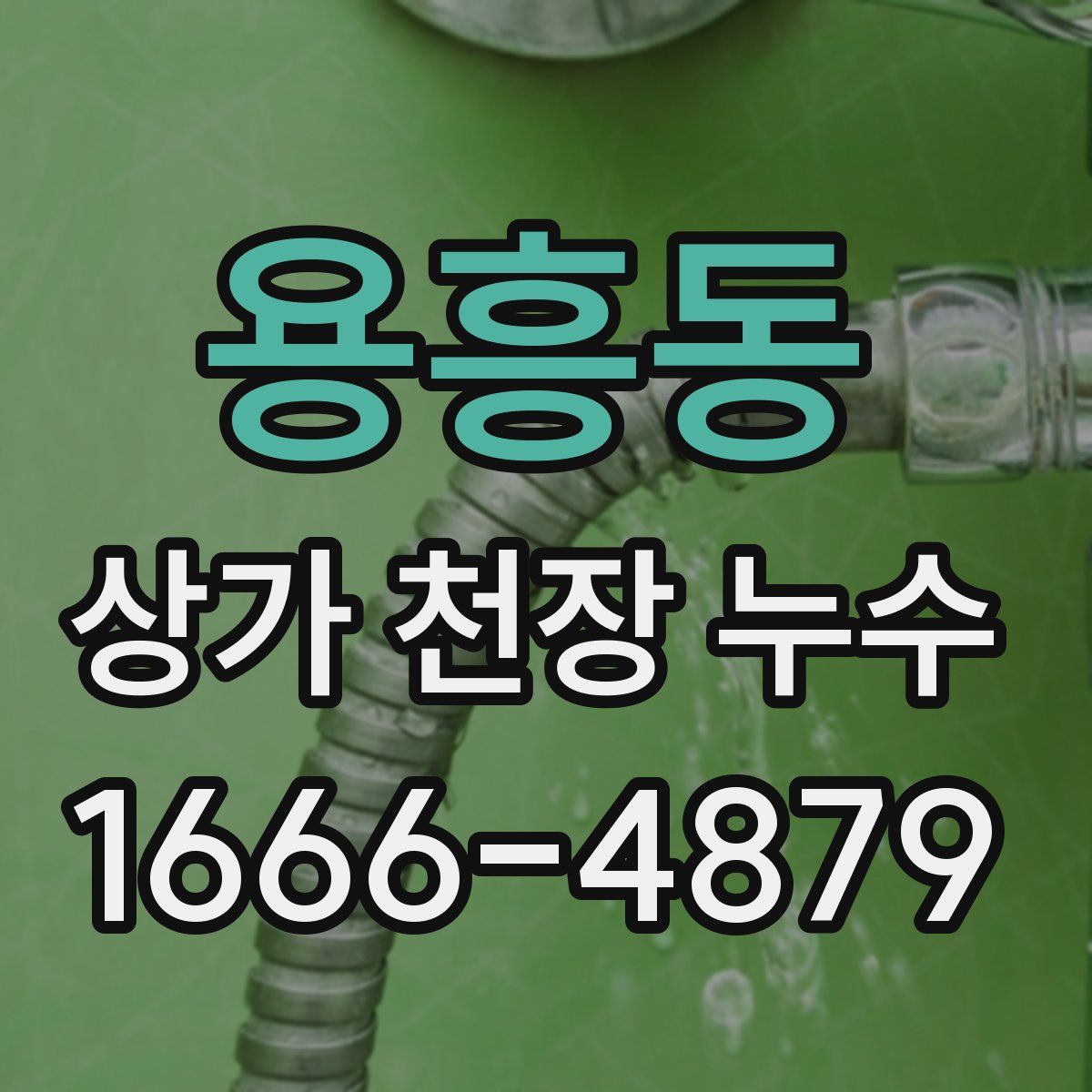 용흥동 상가 천장 누수