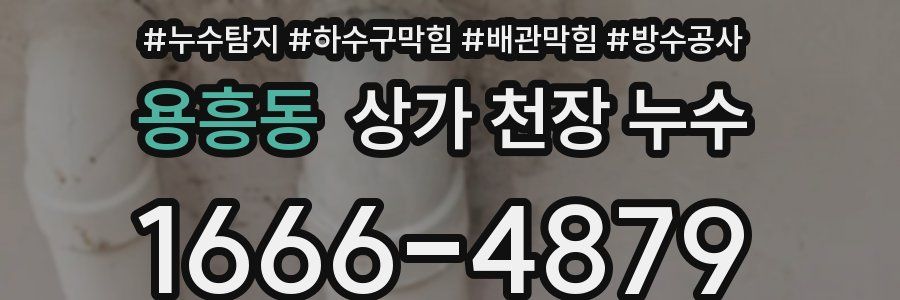 용흥동 상가 천장 누수