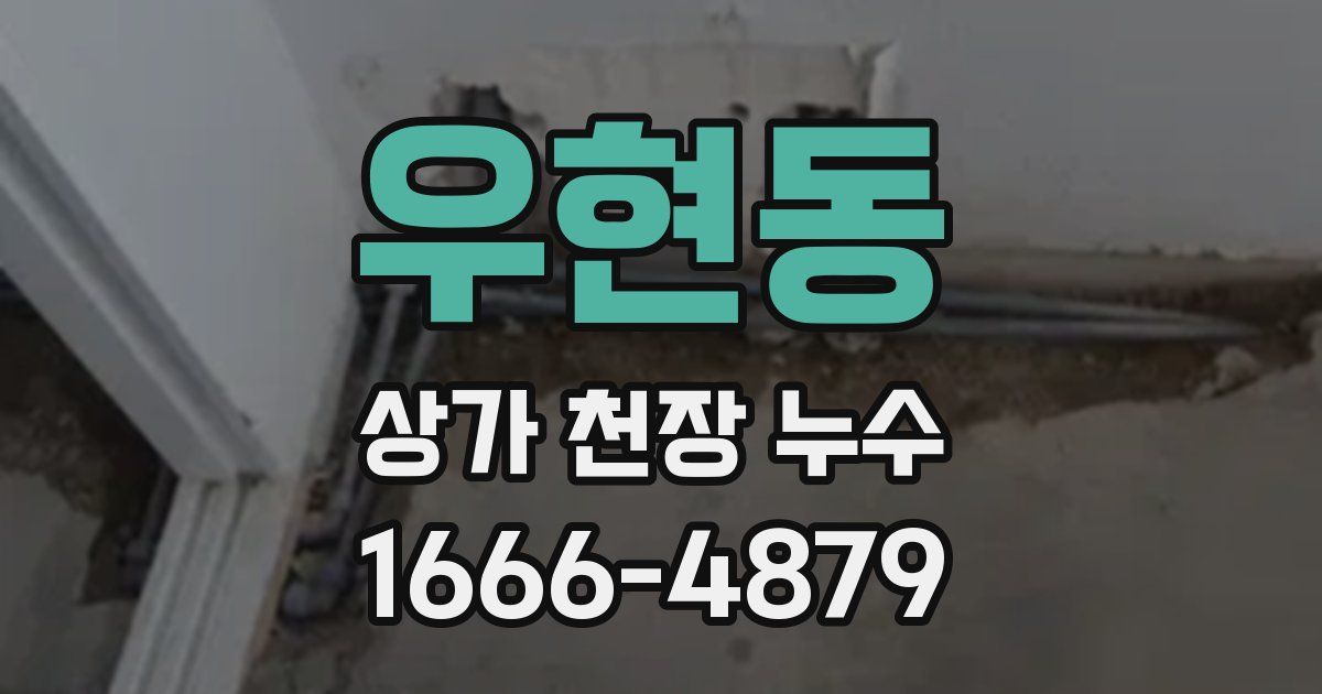 우현동 상가 천장 누수