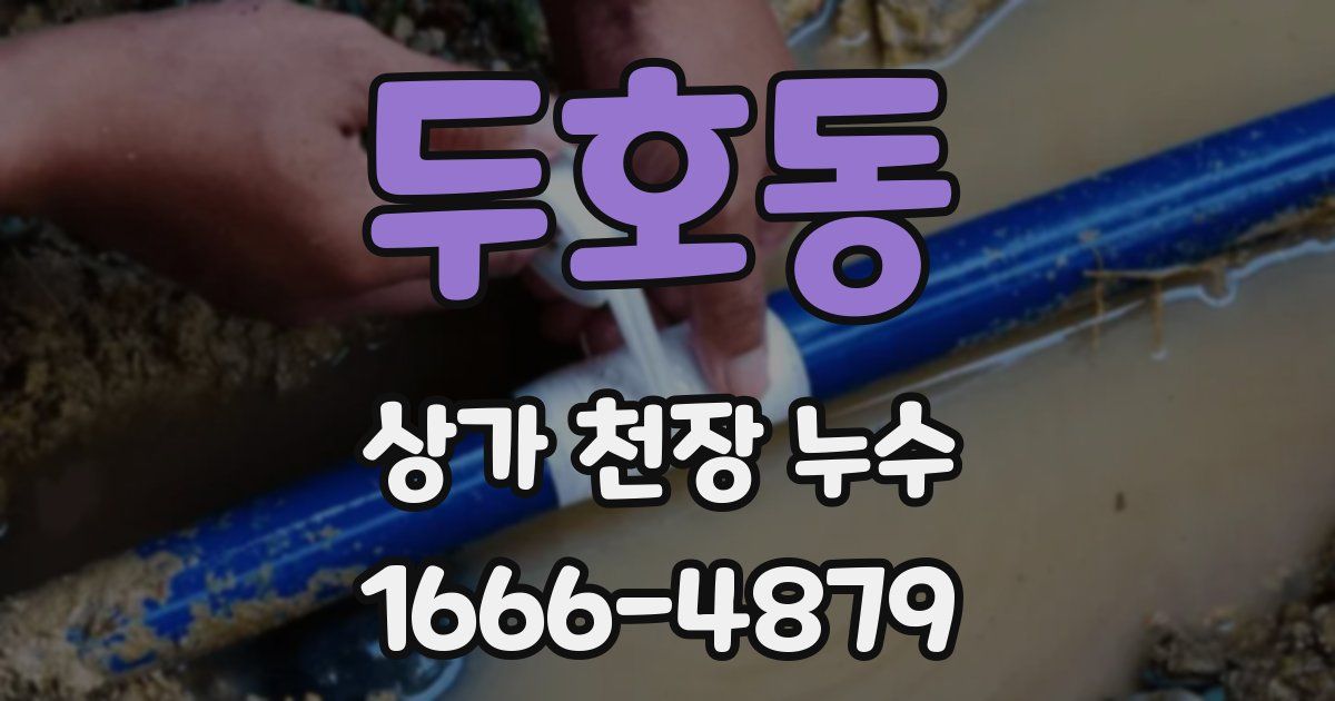 두호동 상가 천장 누수