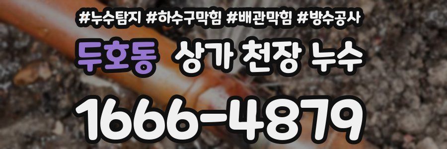 두호동 상가 천장 누수