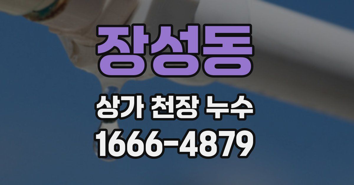 장성동 상가 천장 누수