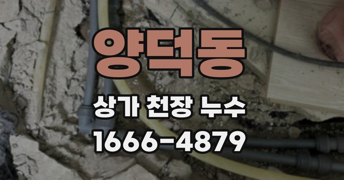 양덕동 상가 천장 누수