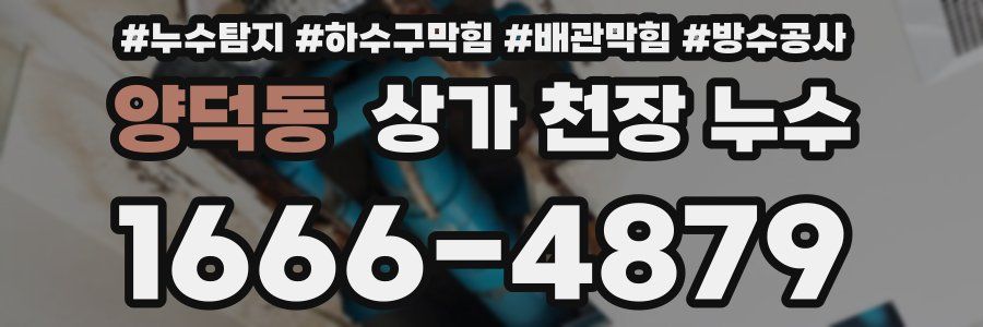 양덕동 상가 천장 누수