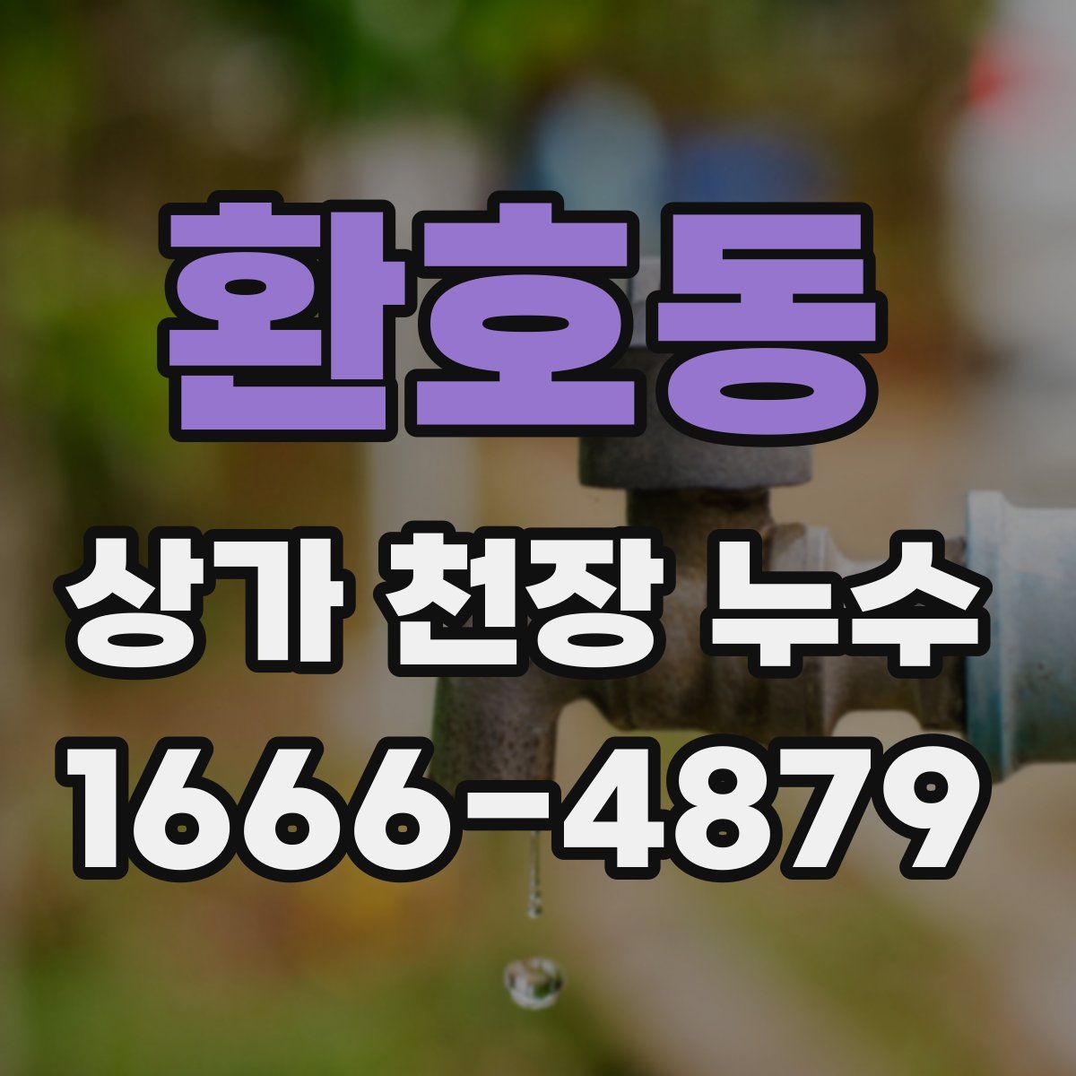 환호동 상가 천장 누수