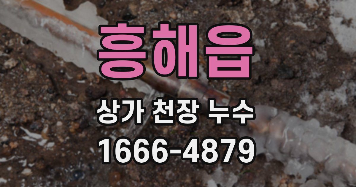 흥해읍 상가 천장 누수