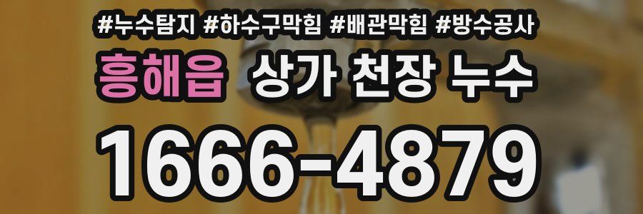 흥해읍 상가 천장 누수