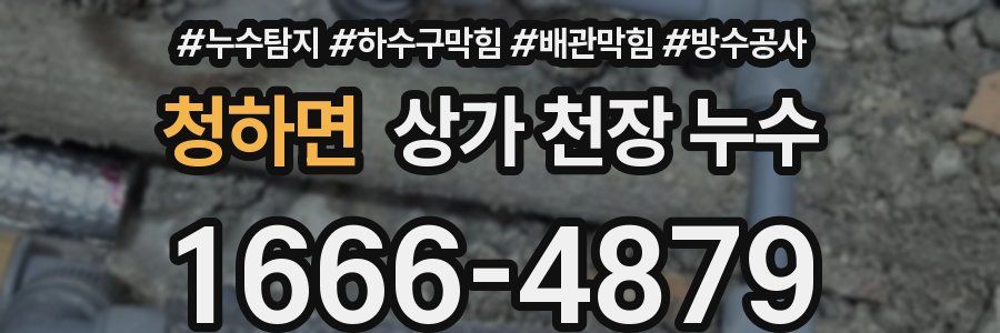 청하면 상가 천장 누수