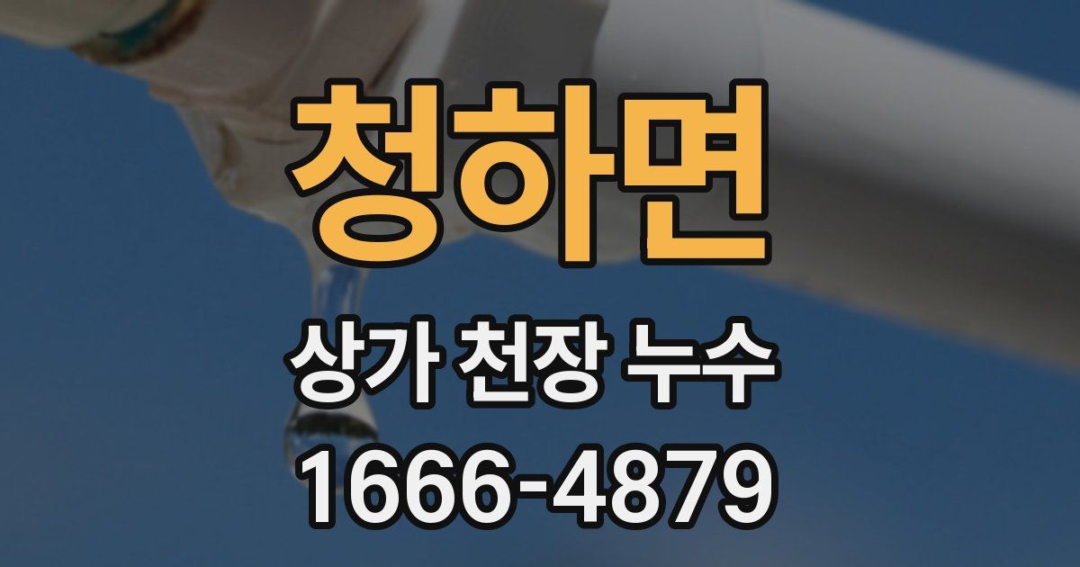 청하면 상가 천장 누수