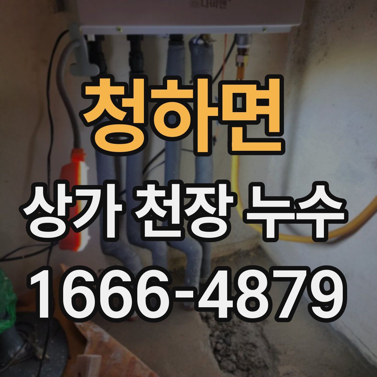 청하면 상가 천장 누수