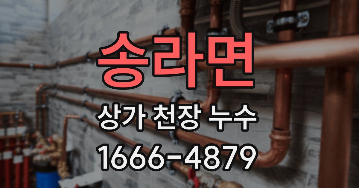 송라면 상가 천장 누수