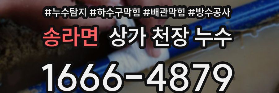 송라면 상가 천장 누수