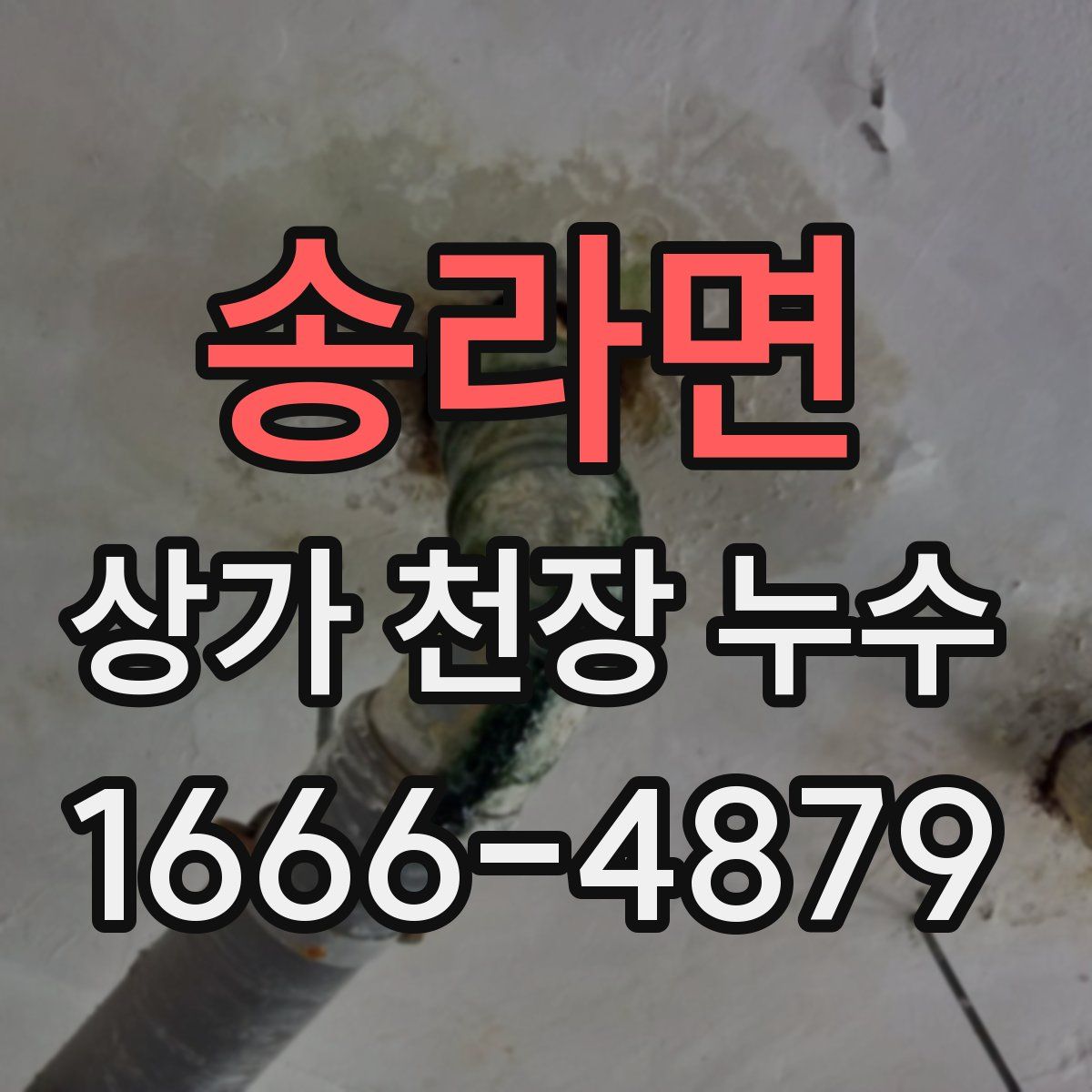 송라면 상가 천장 누수