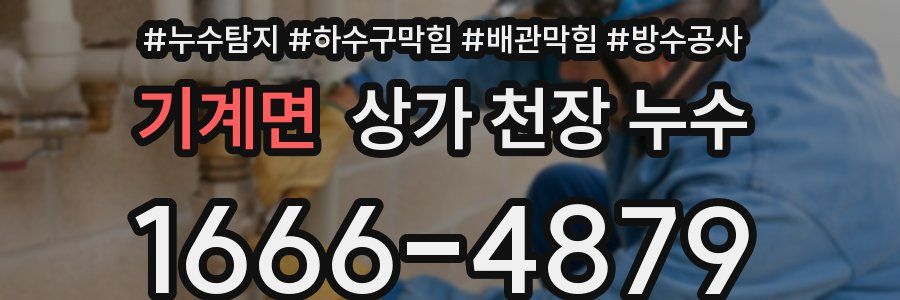 기계면 상가 천장 누수