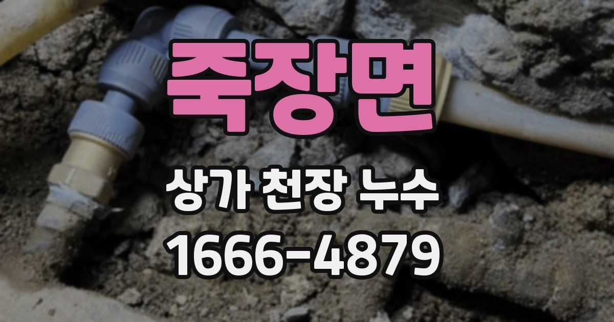 죽장면 상가 천장 누수