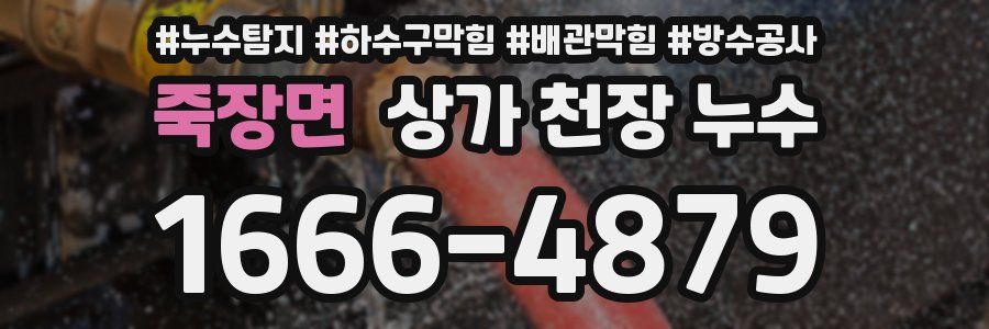 죽장면 상가 천장 누수