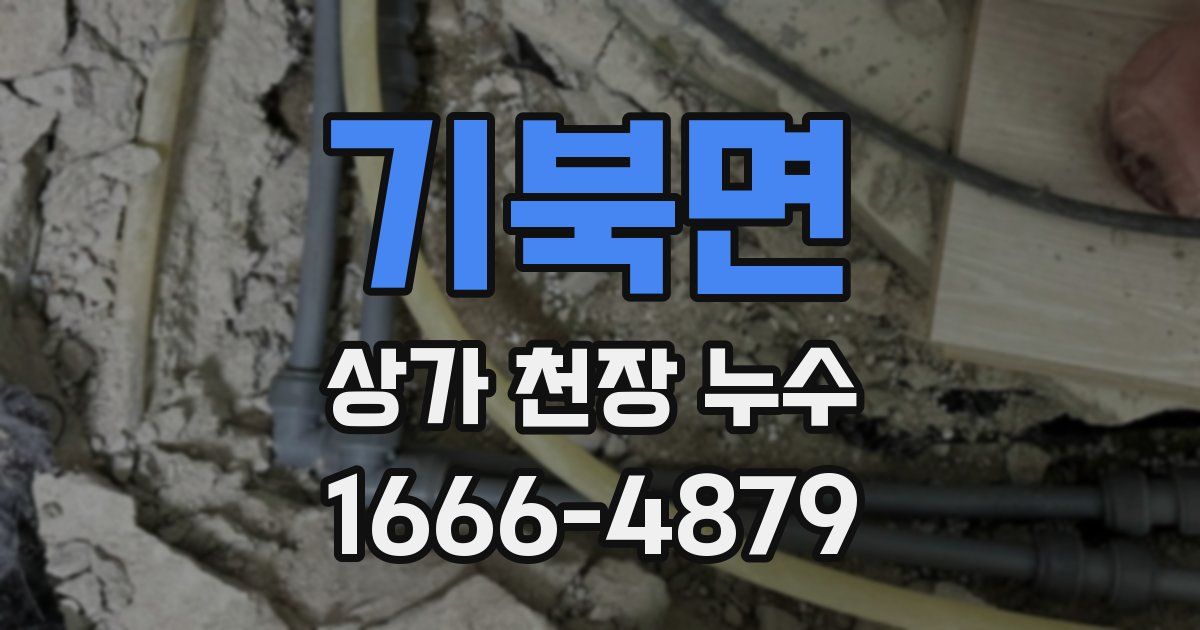 기북면 상가 천장 누수