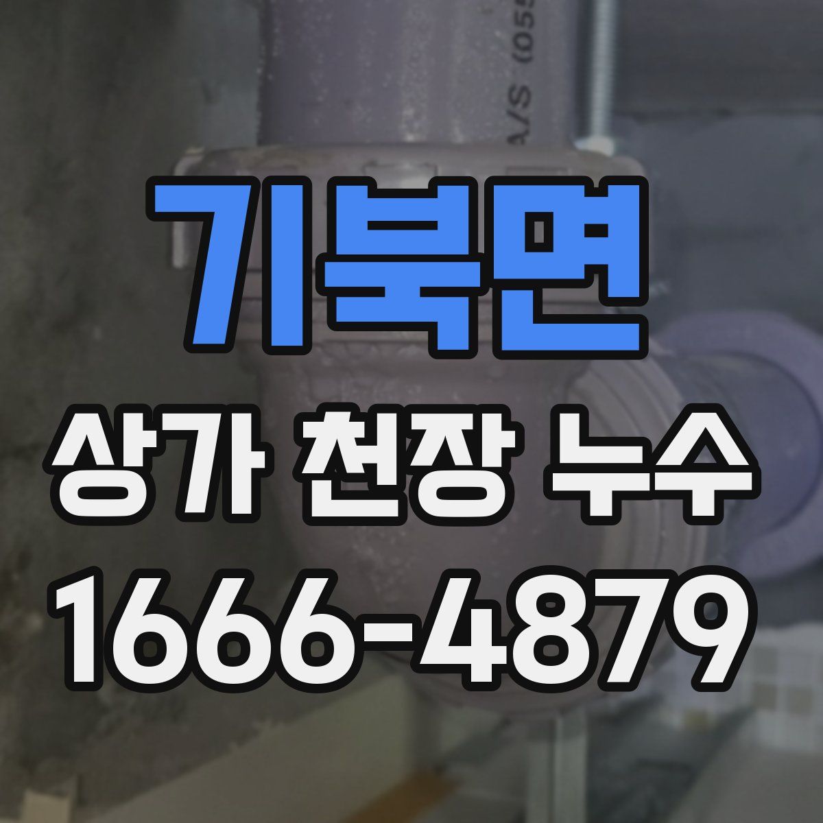 기북면 상가 천장 누수