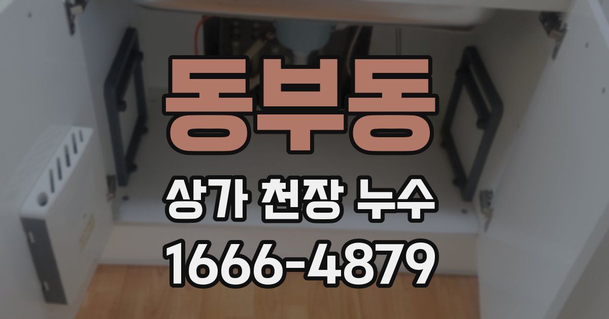 동부동 상가 천장 누수