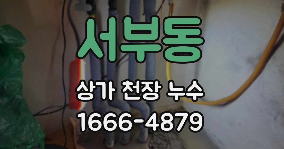 서부동 상가 천장 누수
