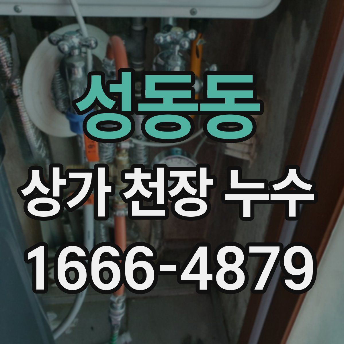성동동 상가 천장 누수