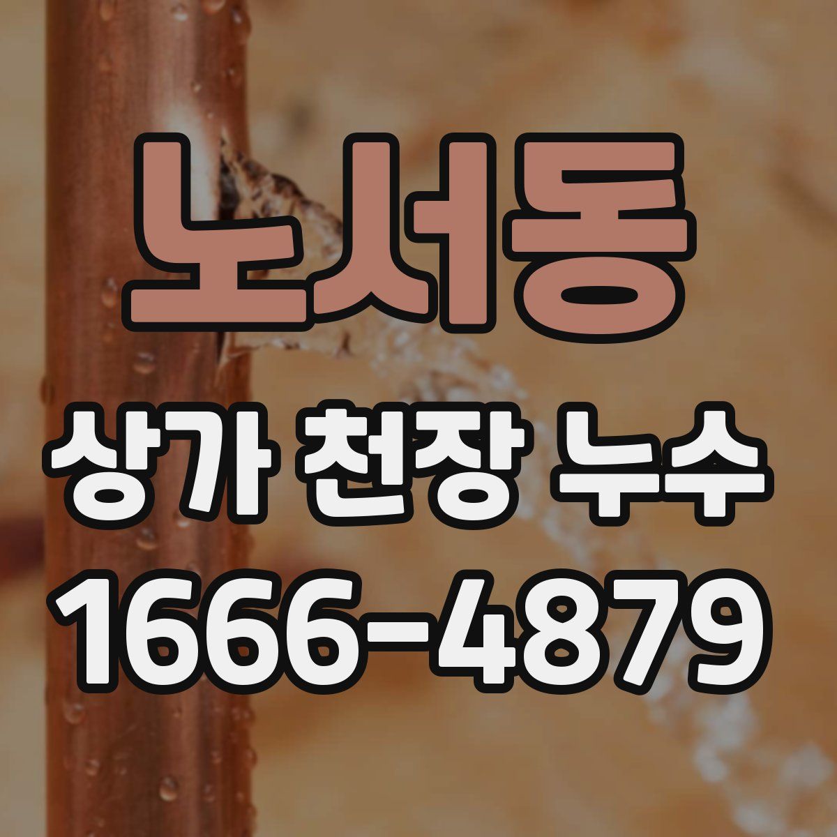 노서동 상가 천장 누수