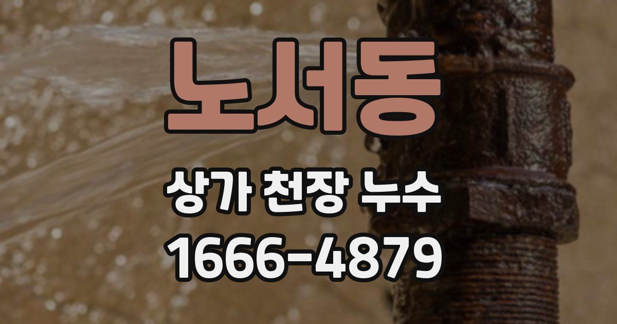 노서동 상가 천장 누수