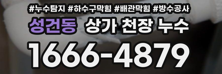 성건동 상가 천장 누수