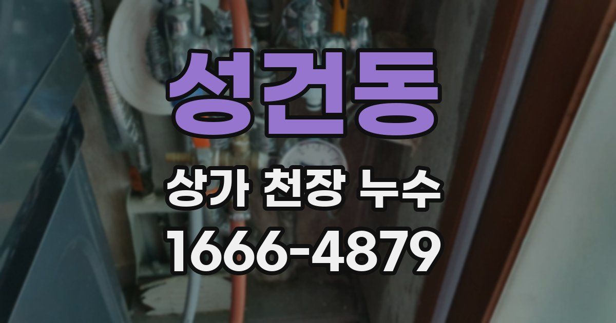 성건동 상가 천장 누수