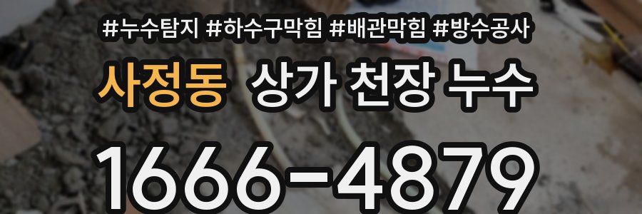 사정동 상가 천장 누수