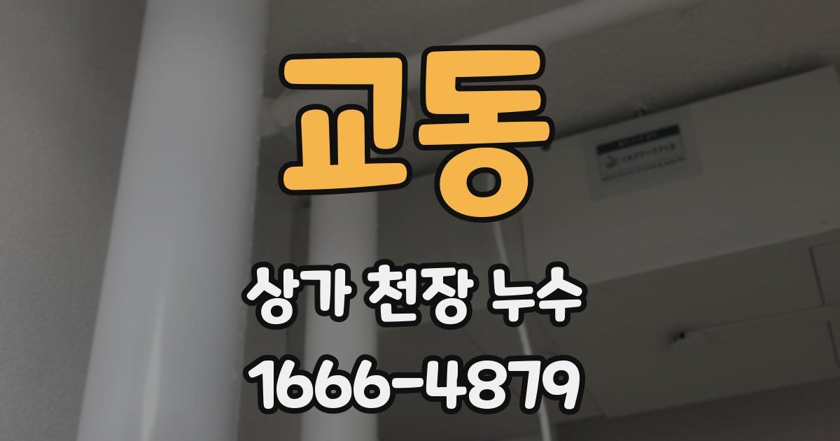 교동 상가 천장 누수