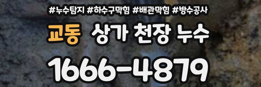 교동 상가 천장 누수