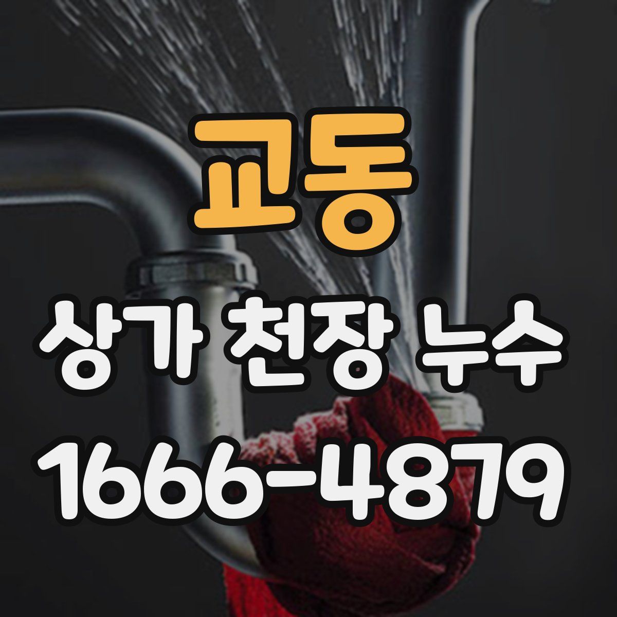 교동 상가 천장 누수