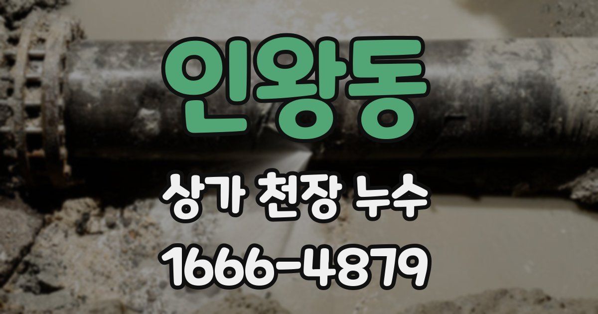 인왕동 상가 천장 누수