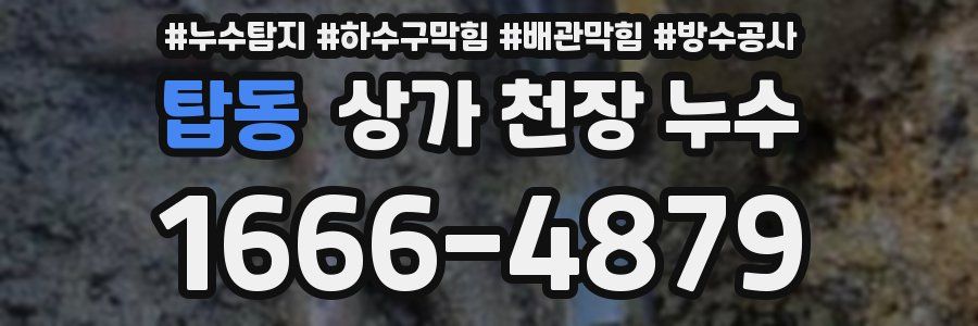 탑동 상가 천장 누수