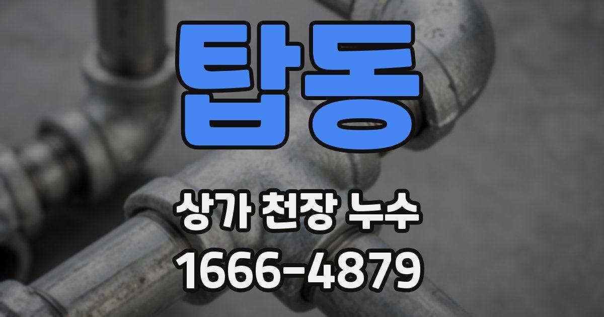 탑동 상가 천장 누수