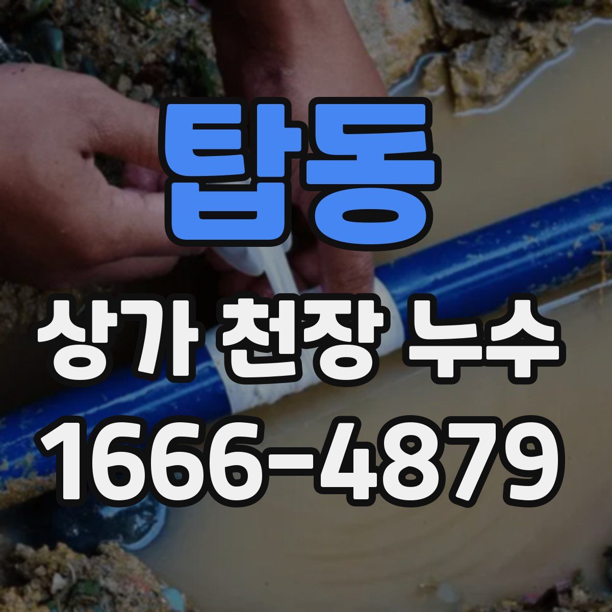 탑동 상가 천장 누수