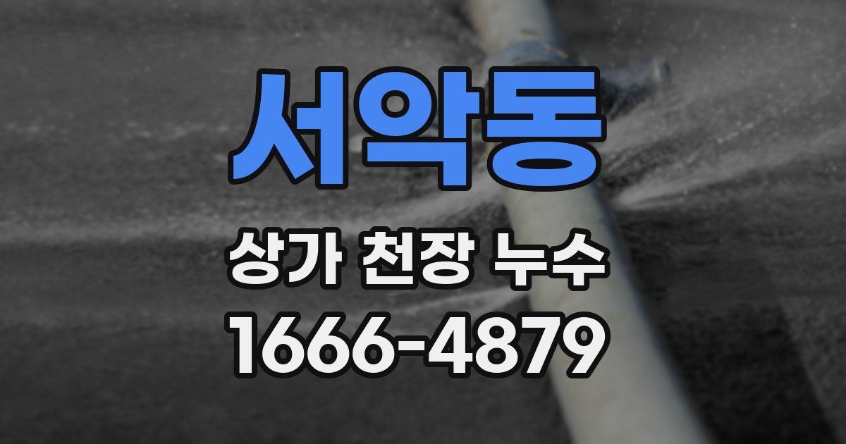 서악동 상가 천장 누수