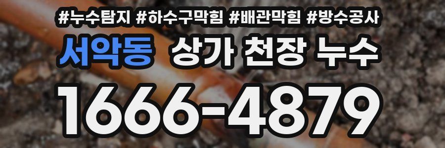 서악동 상가 천장 누수