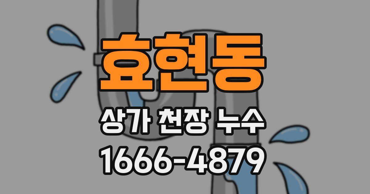 효현동 상가 천장 누수