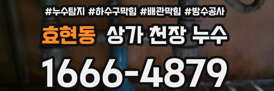 효현동 상가 천장 누수