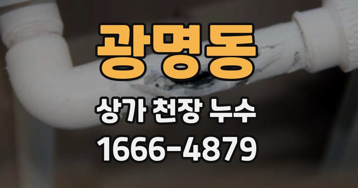 광명동 상가 천장 누수