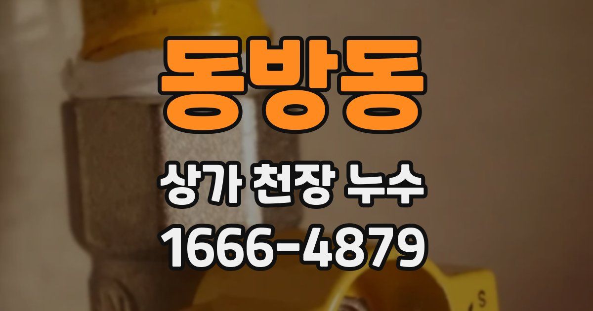 동방동 상가 천장 누수