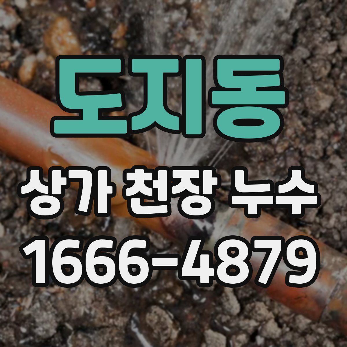 도지동 상가 천장 누수