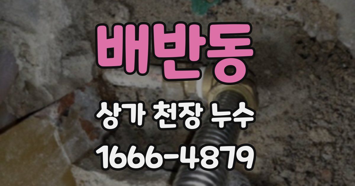 배반동 상가 천장 누수