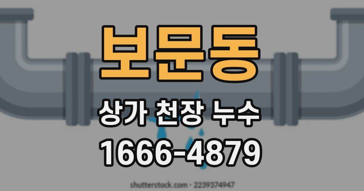 보문동 상가 천장 누수
